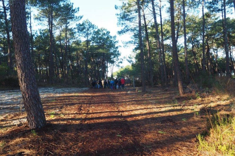 V-G O.I.T Mimizan (354)