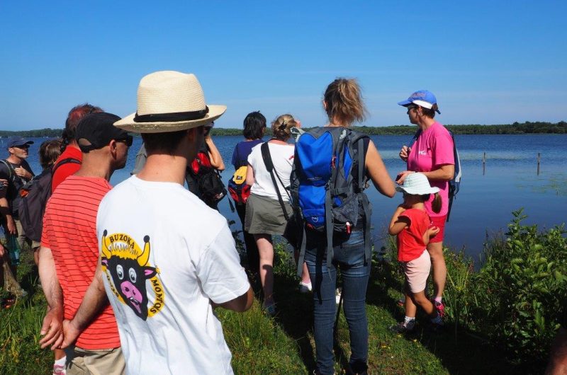 V-G O.I.T Mimizan (97)