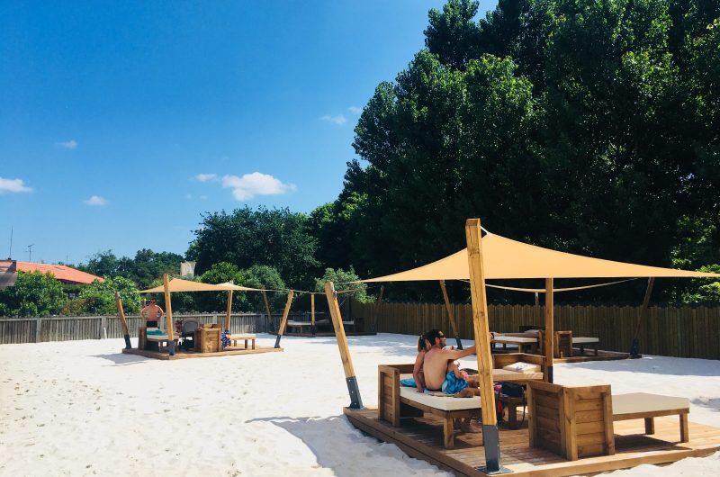 VSG_COL VERT 2026 (1)