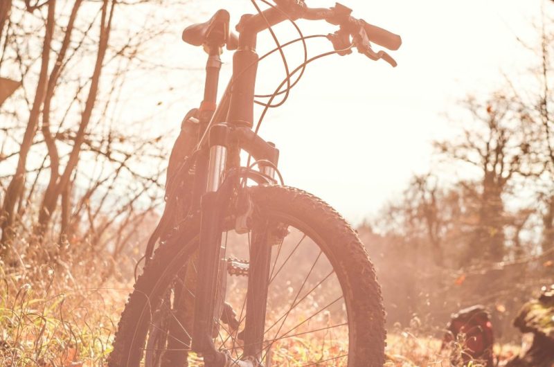 Parcours VTT à la découverte des Gaves et de l’Adour