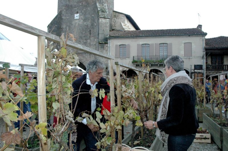 Vendanges-Place-Royale