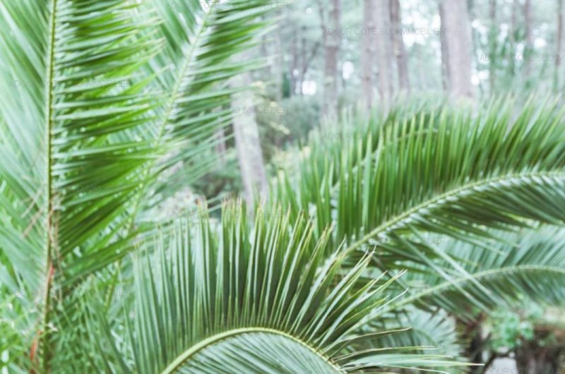 Villa Albi_Hossegor_Adour Côte Sud Immobilier22