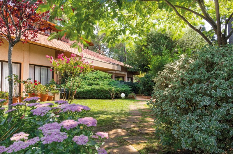 Visuel CMJN- Les Acanthes