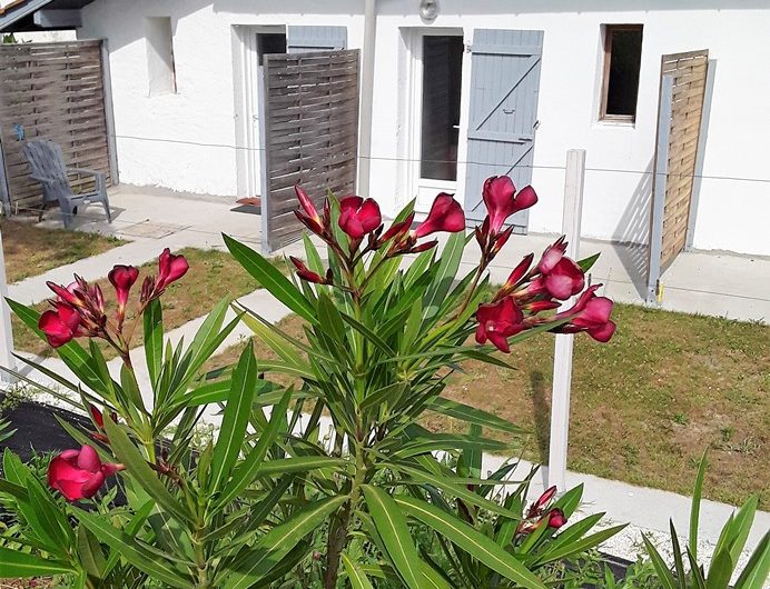 Vitte – terrasses n° 1 et 2