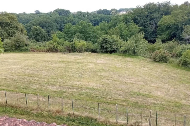 Vue sur Jardin 2 Le Jardin d’André ©Lerre