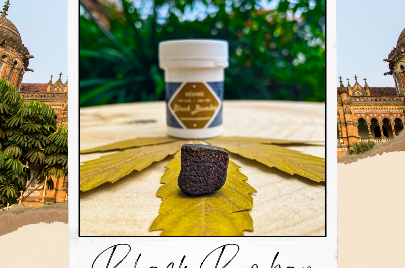 White-Widow-Labenne–6-