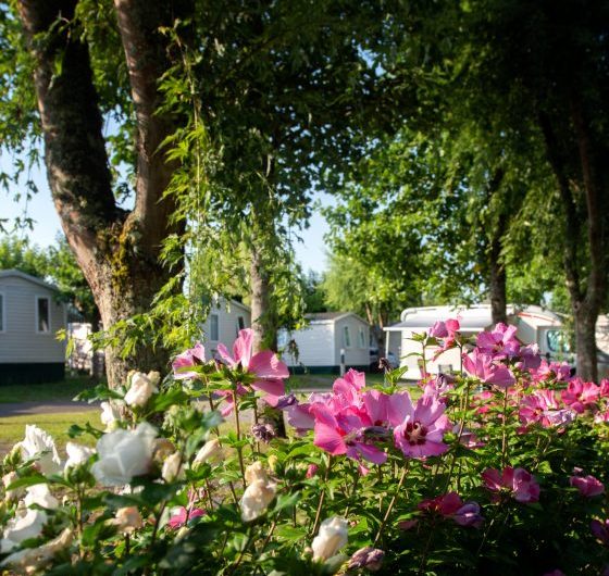 XSP_3264-1-scaled-pm8uv6qa0dffjzhk2q4a0zvswad7v057cyxgpgrn4w