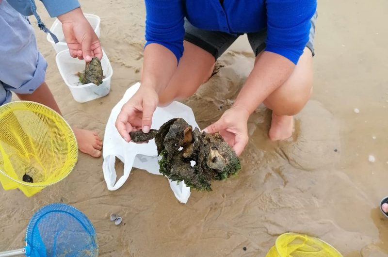 atelier_peche_a_pide