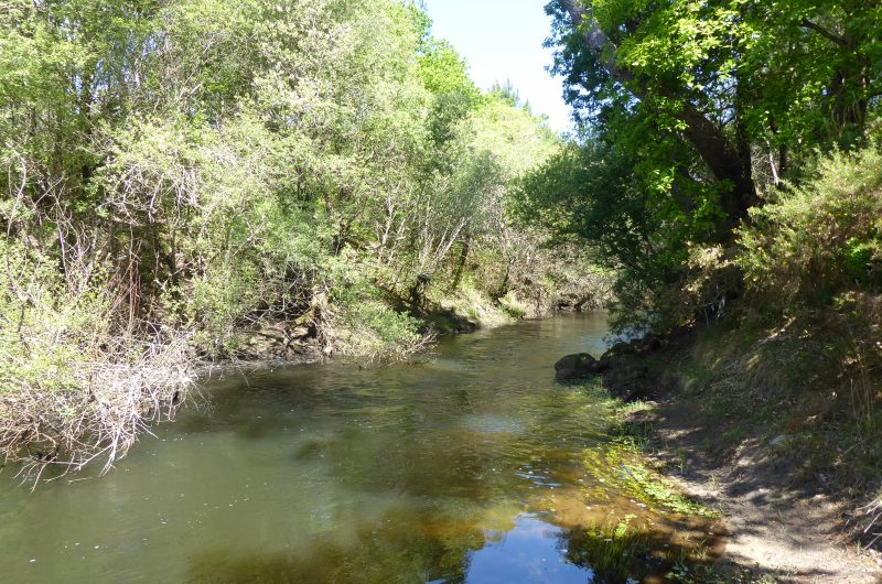 balade-nature-entre-courant-et-forêt-sainte-eulalie-en-born-©c.kwasniewski