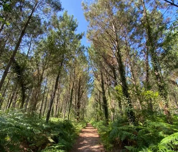 Sentier pédestre Lou caminot tranquilot