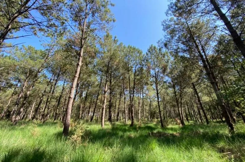 Sentier pédestre Lou coupe-came