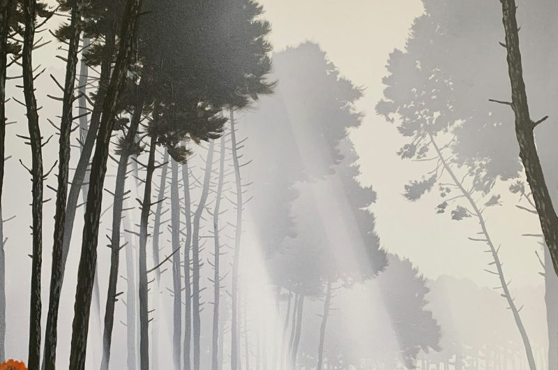 cache-cache-soleil-02-80×100