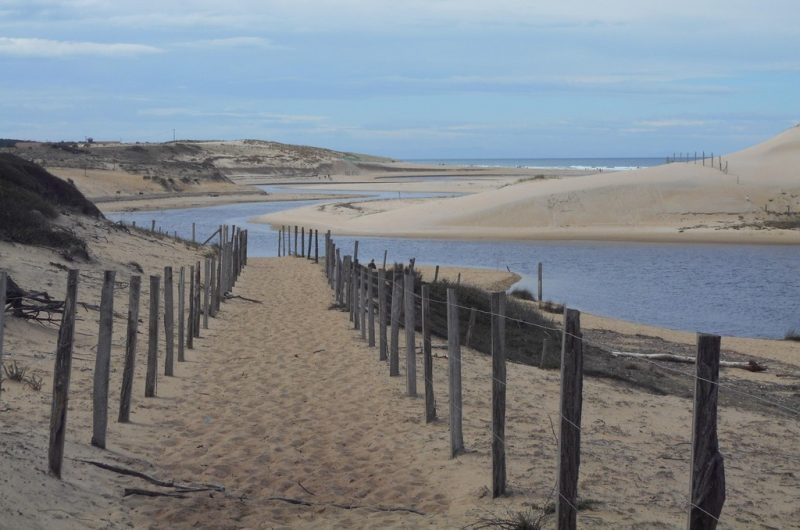 couranthuchet-leon40-2-op