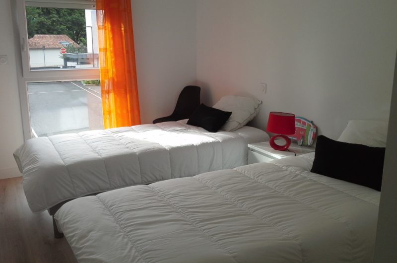 delphine Krawczyk (2)