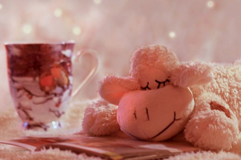 doudou-lecteur