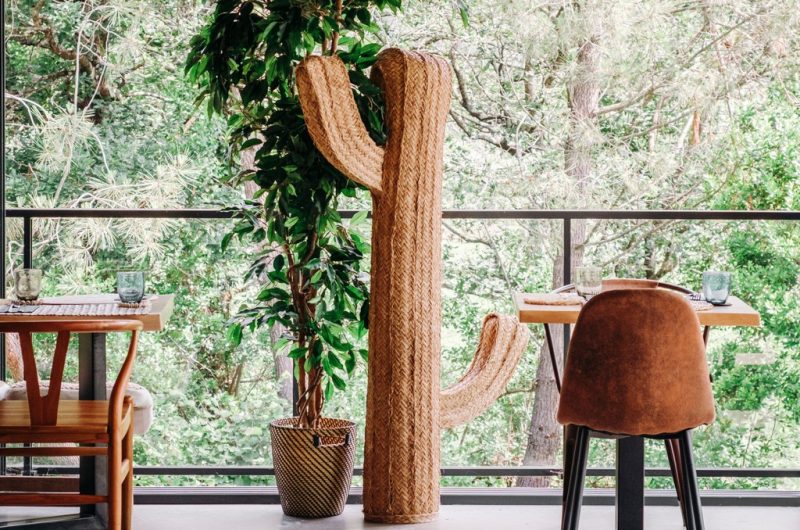 el-nido-salle-vitree-restaurant-brasserie-dejeuner-nature-calme-formule-midi-vue-foret-hossegor-9