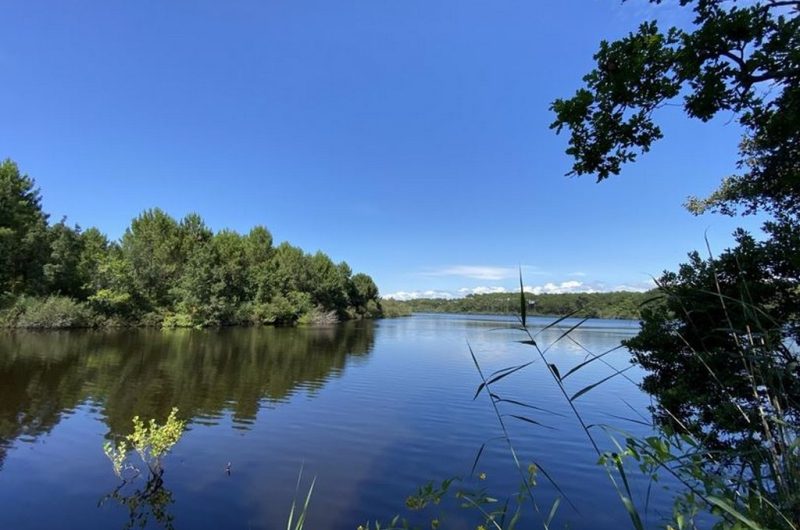 Sentier Lou coupe-came