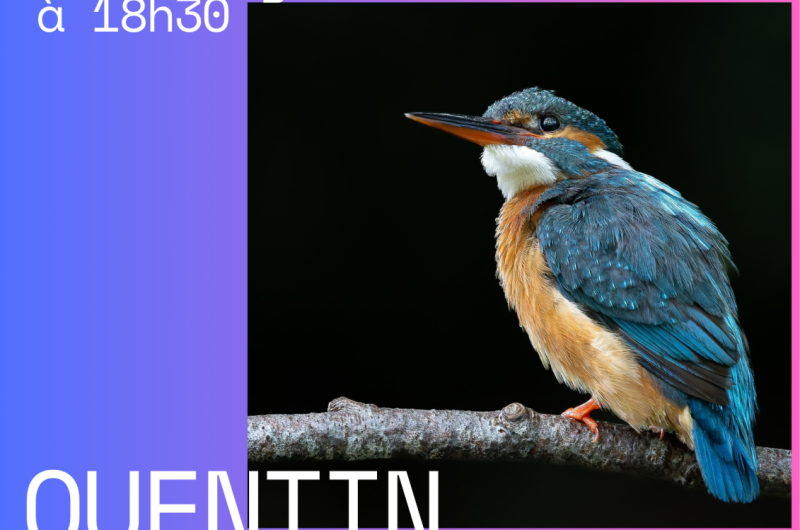 expo-quentin