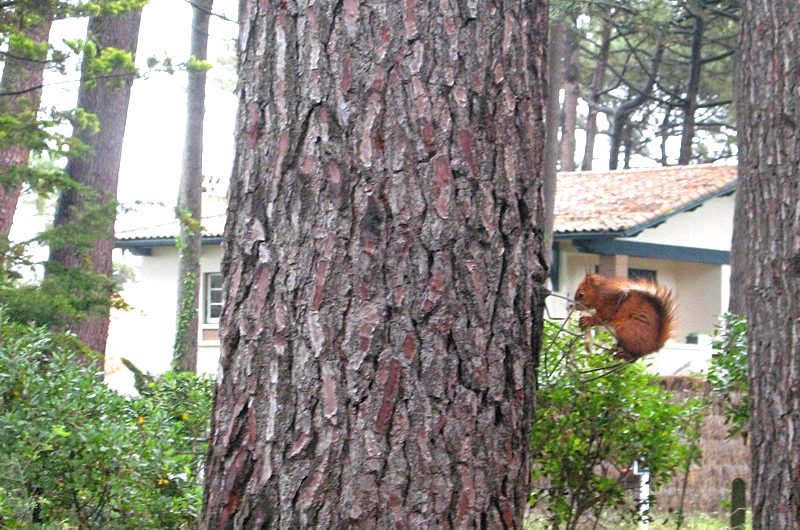 exterieur-bazas-delgoulet-3