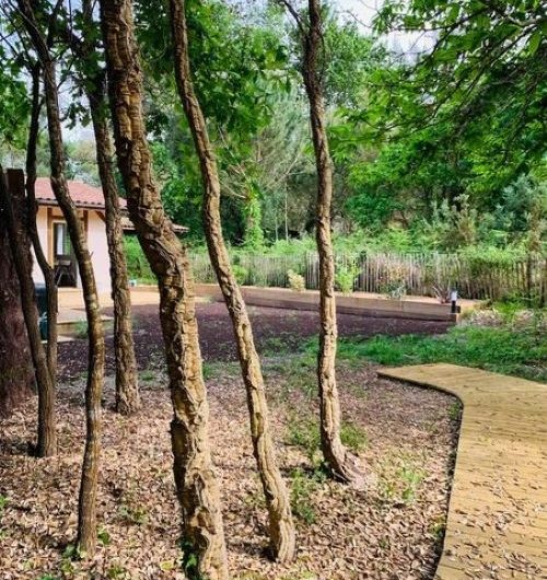 exterieur-maisonnette-boussouayre-moliets