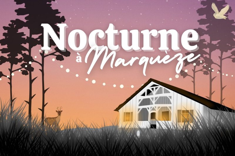 format Tourinsoft – 6