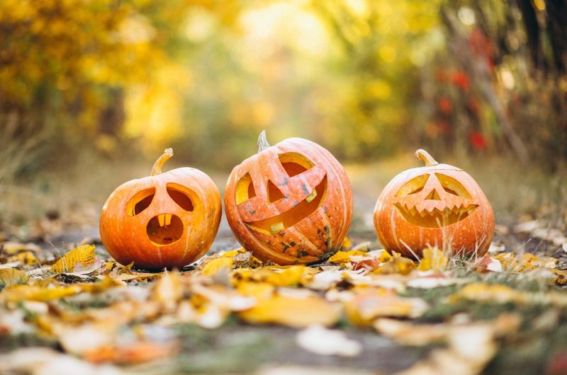 gadgemayur-pumpkin-6720424_1920