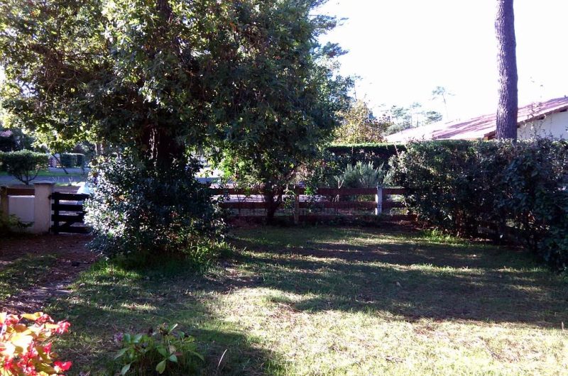 jardin