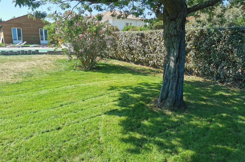 jardin-gite-la-maison-des-amis-ondres