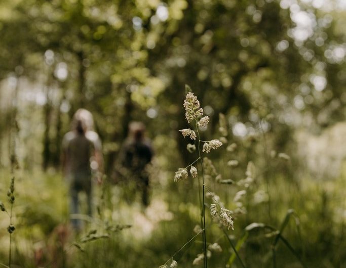 karenpetitphotographe@terra-atlaya (56)