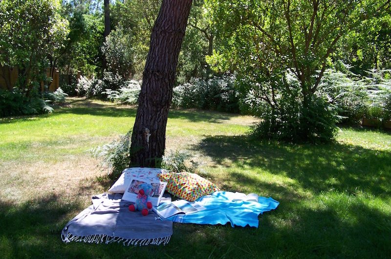 la cabane du surfeur messanges (11)