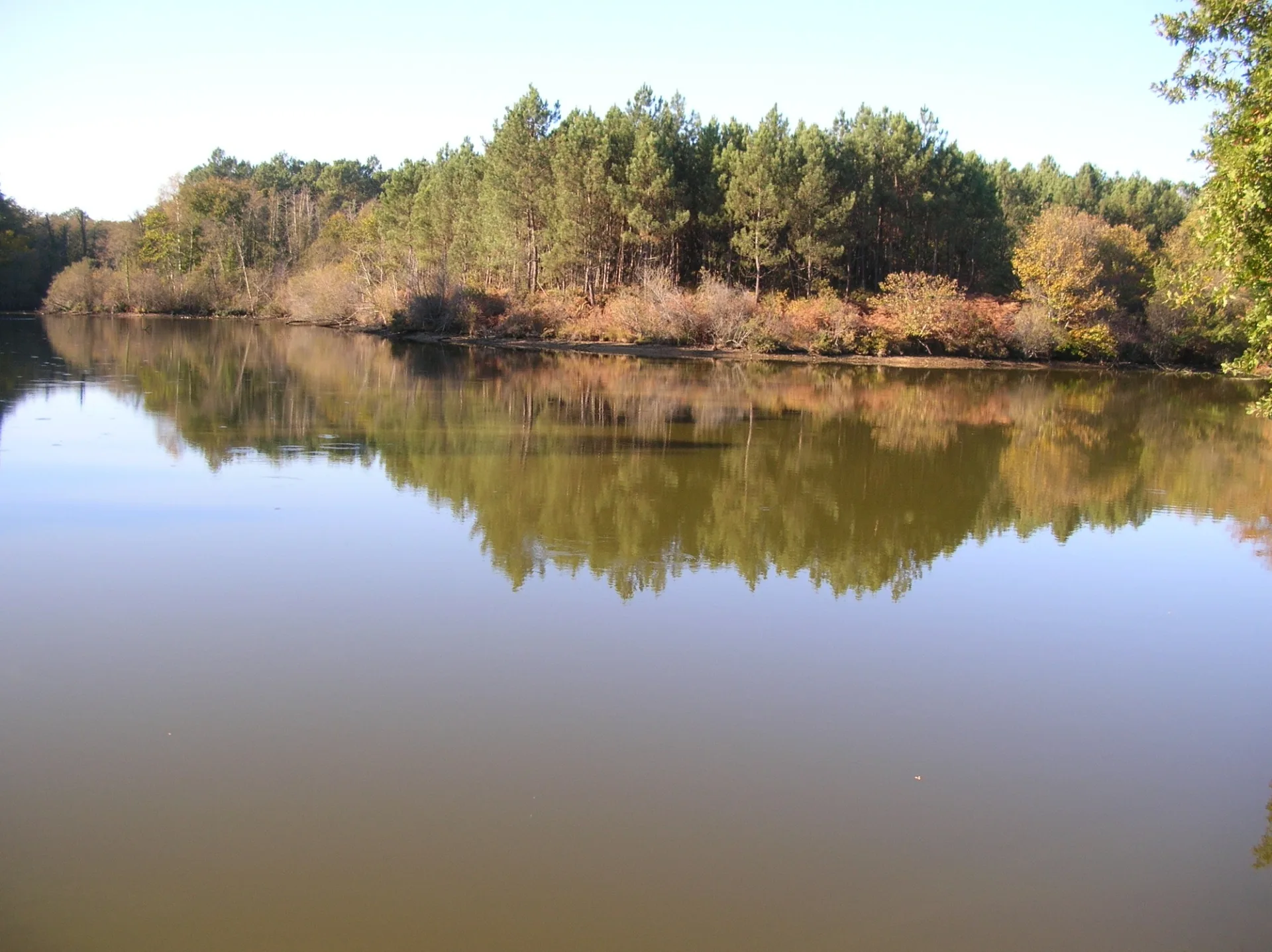 lacquy – étang (2)