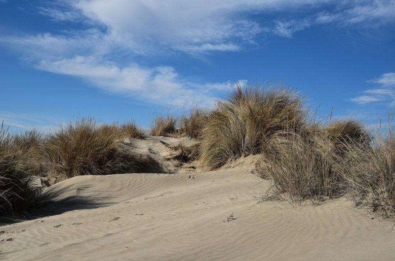 lecreusois-dune-8394643_1920