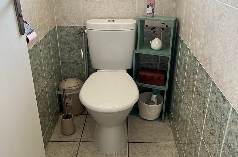 les Albizias II n°17 (4)