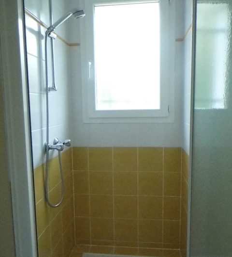 les jonquilles 1 (3)