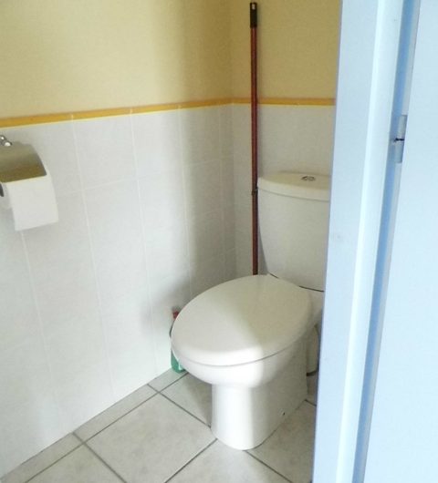 les jonquilles 1 (4)