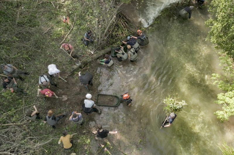 me-decine-castor-marie-amiguet