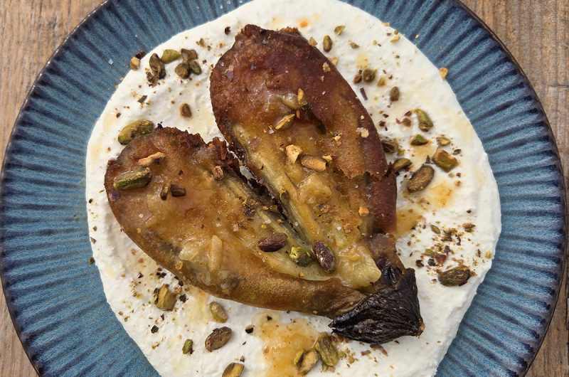 moussu-messanges-landes (5)