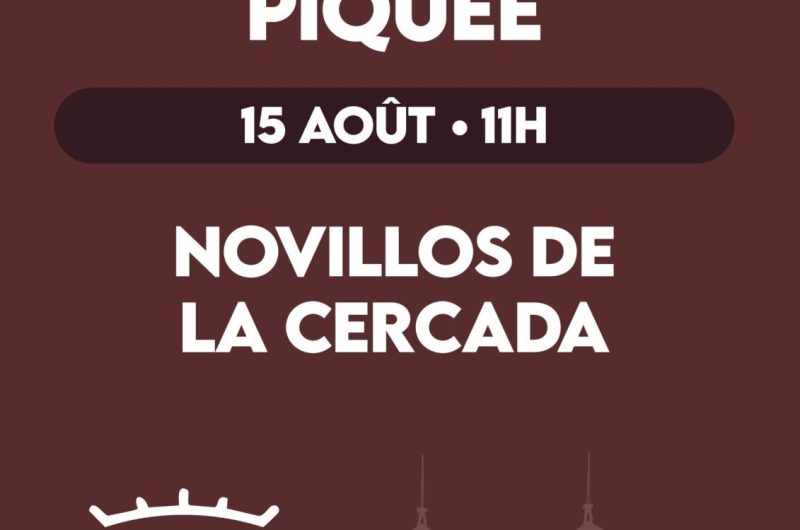 novilladapiquee15082026_dax