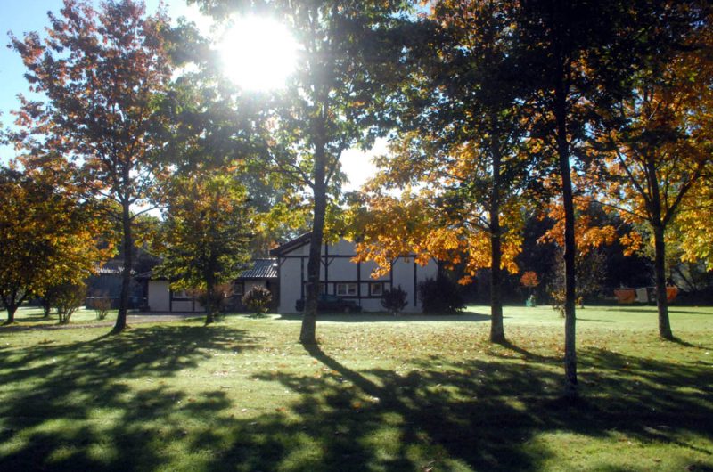 parc 1 couleur d’automne