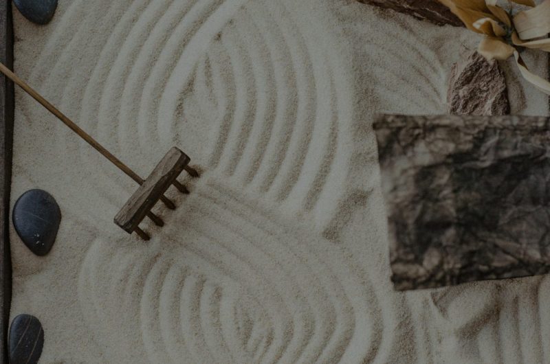 pexels-roman-odintsov-8180652