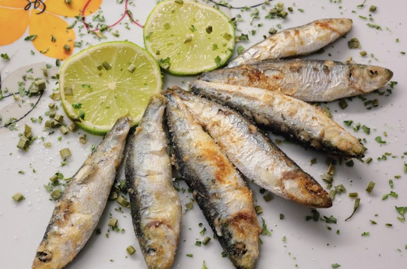 photoenduro-fish-6940144_1280