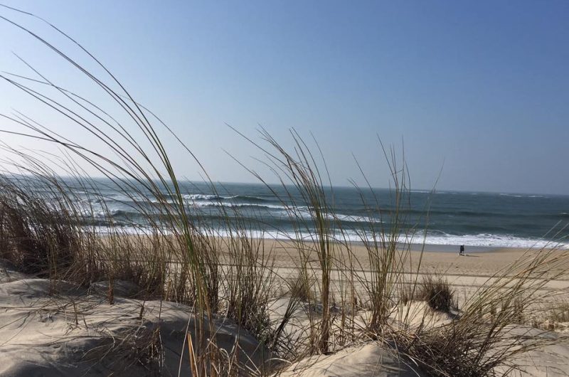 plage salie nord-février 2018