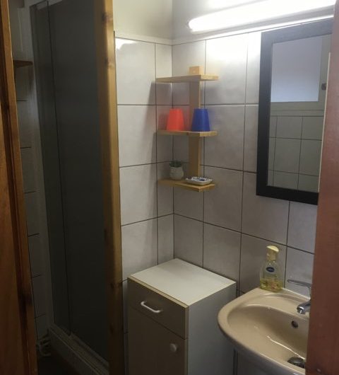 salle-de-bain-douche