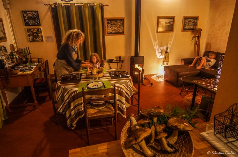 sans titre-00884 copie