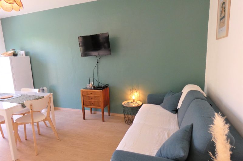 séjour-gite-hortensias-narrosse3