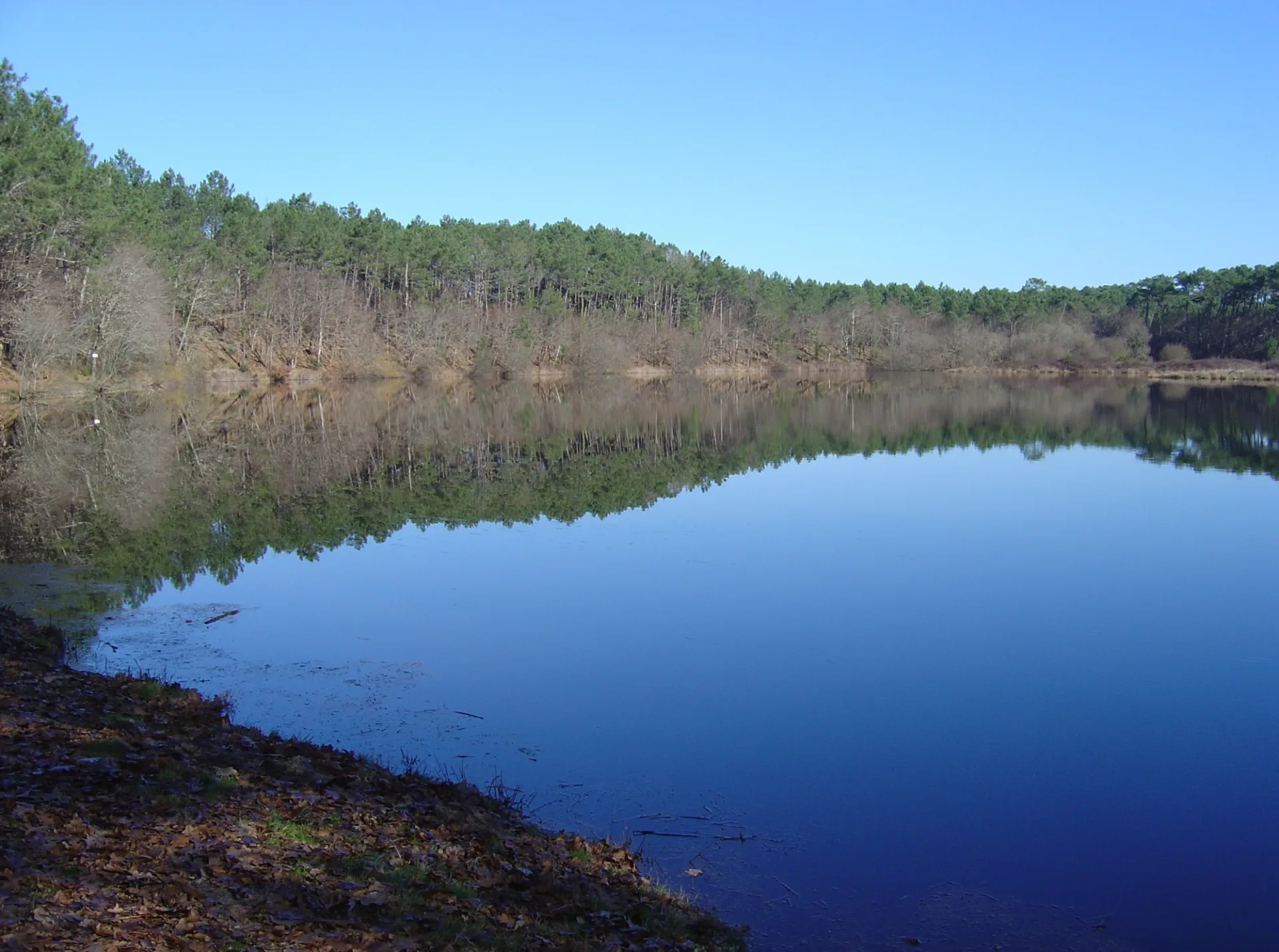 A Bias, sentier pédestre “L’Etang du Bourg Vieux”