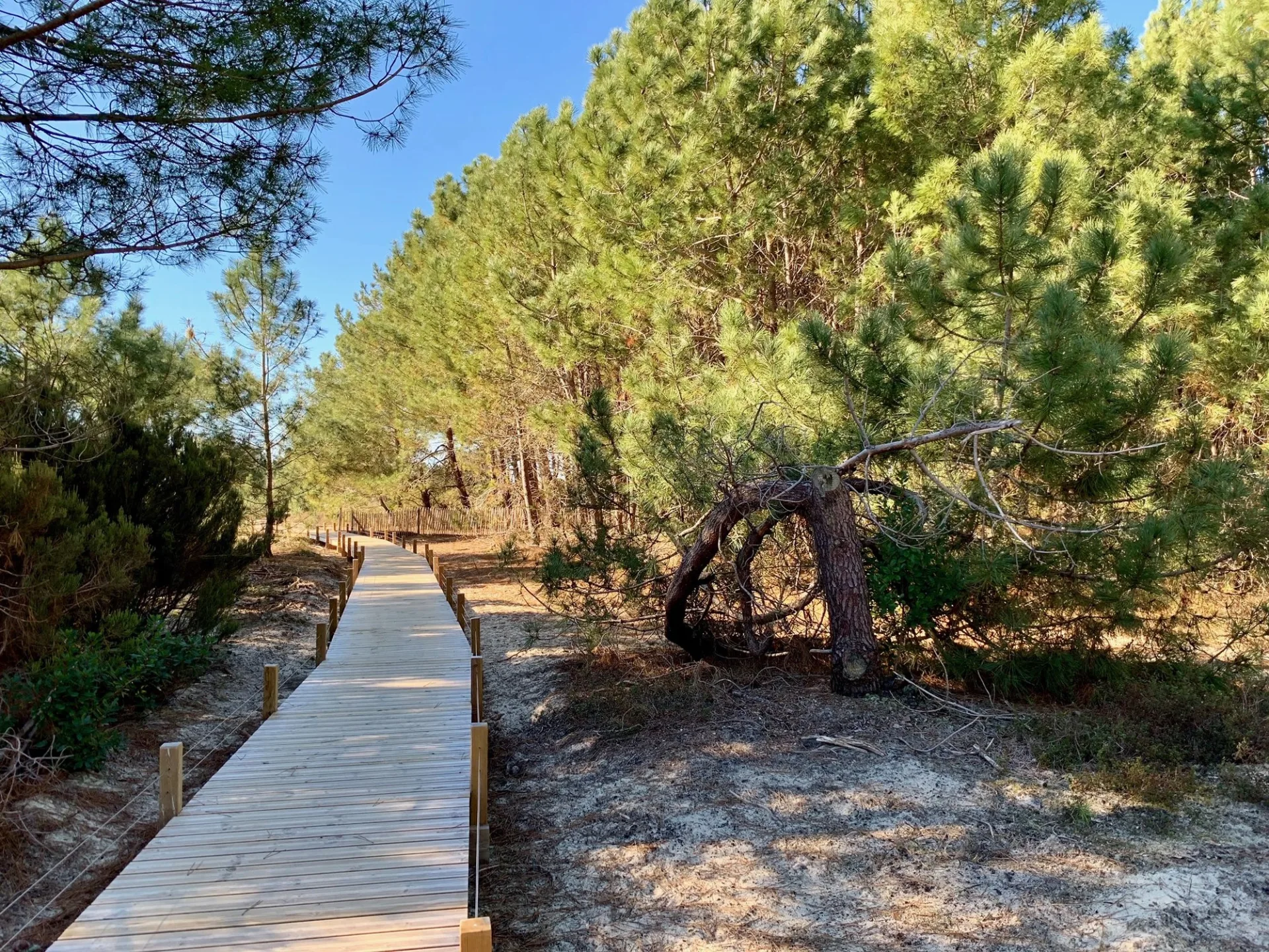 Sentier d’interprétation du vivier