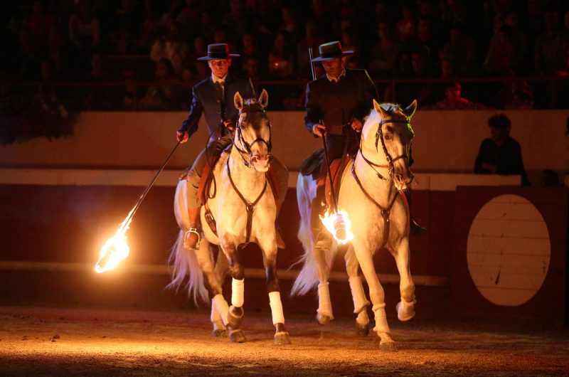 spectacle-landes-emotion-chevaux
