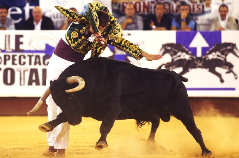 spectacle-landes-emotion-cyril-dunouau