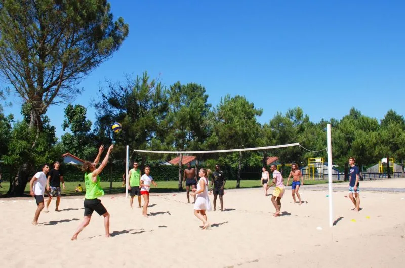 terraiin-sport (1)_2